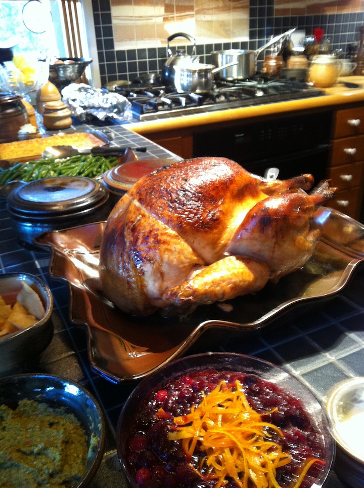 Thanksgiving turkey