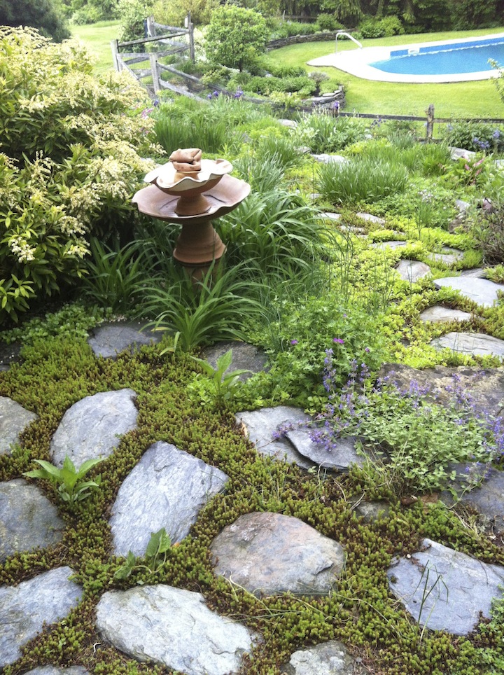 On the path to the pool