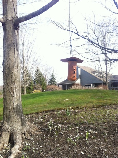 landscape between studio and house