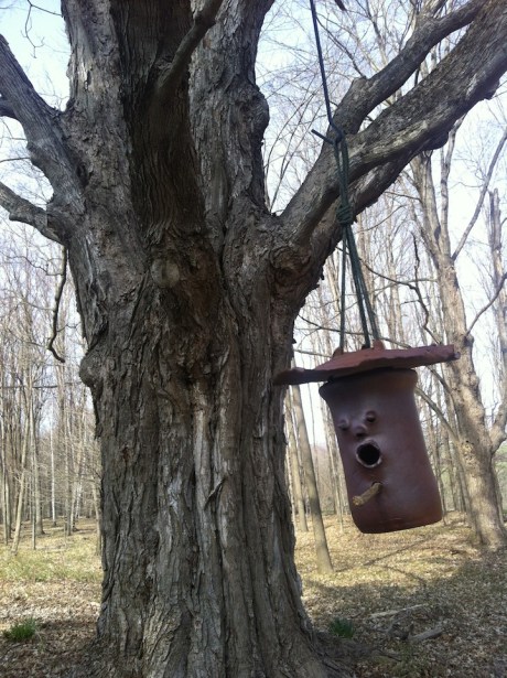 tree and birdhouse